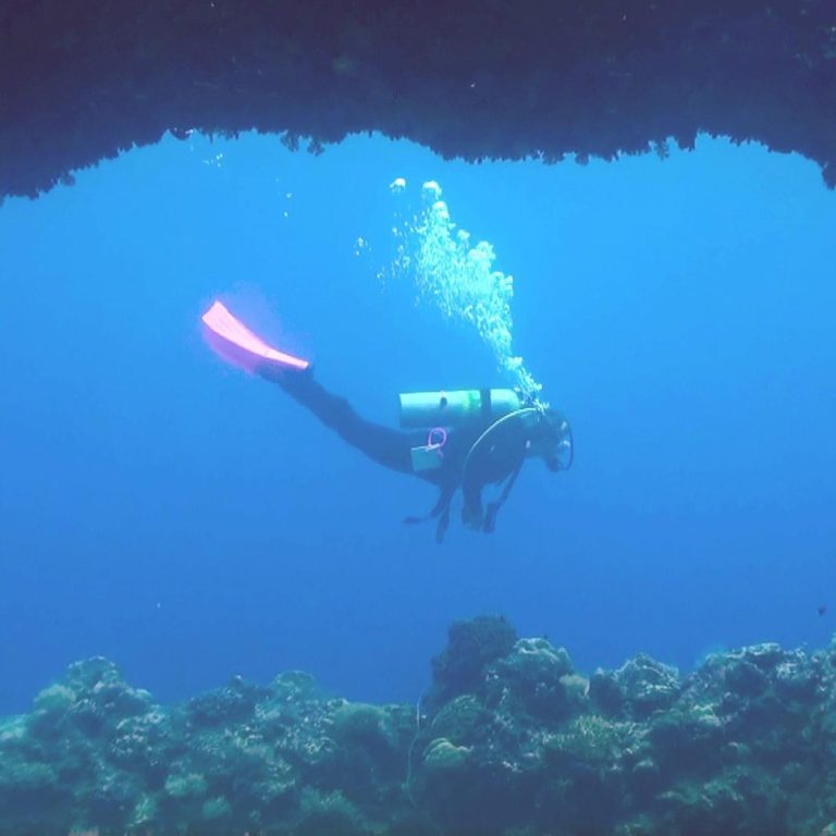 Trailblazing Women of the Ocean